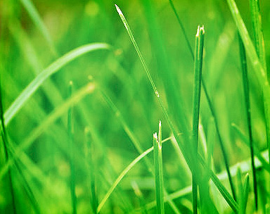 ddos服务器攻击手段